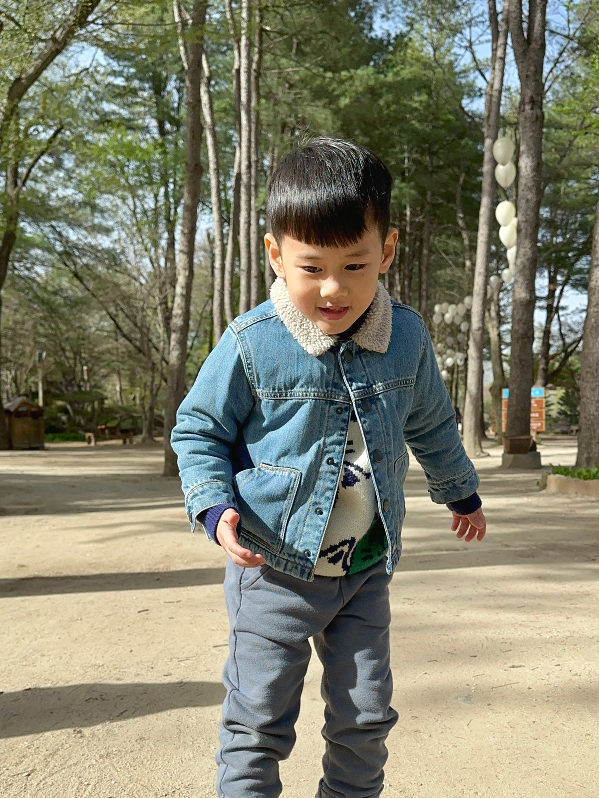 Wren Denim Borg Collar Jacket