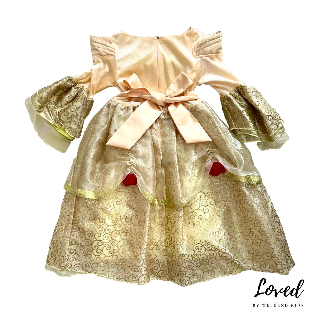 Belle Princess Costume (Loved)