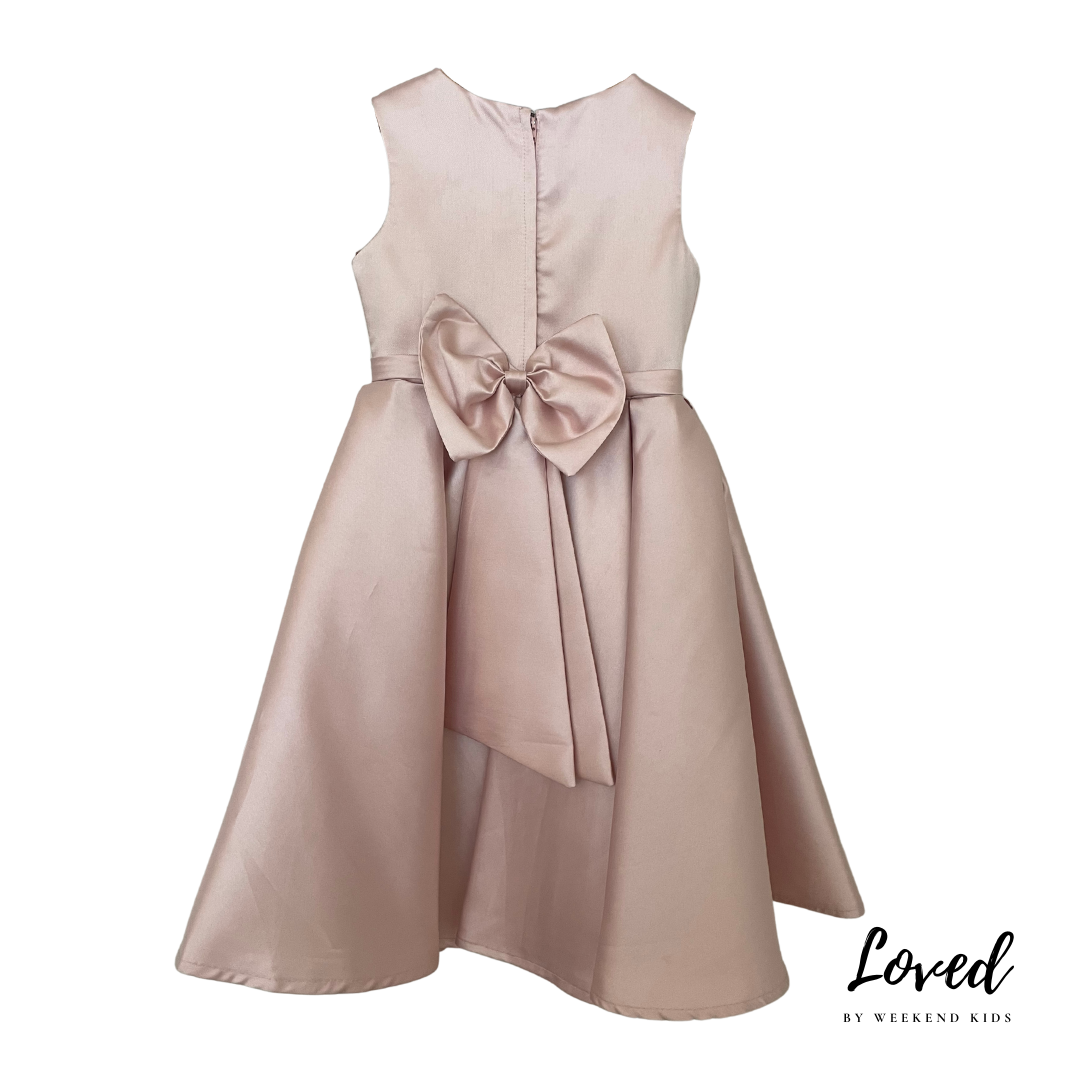 Ivy Pink Satin Dress (Loved)