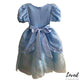 Cinderella Princess Costume (Loved)