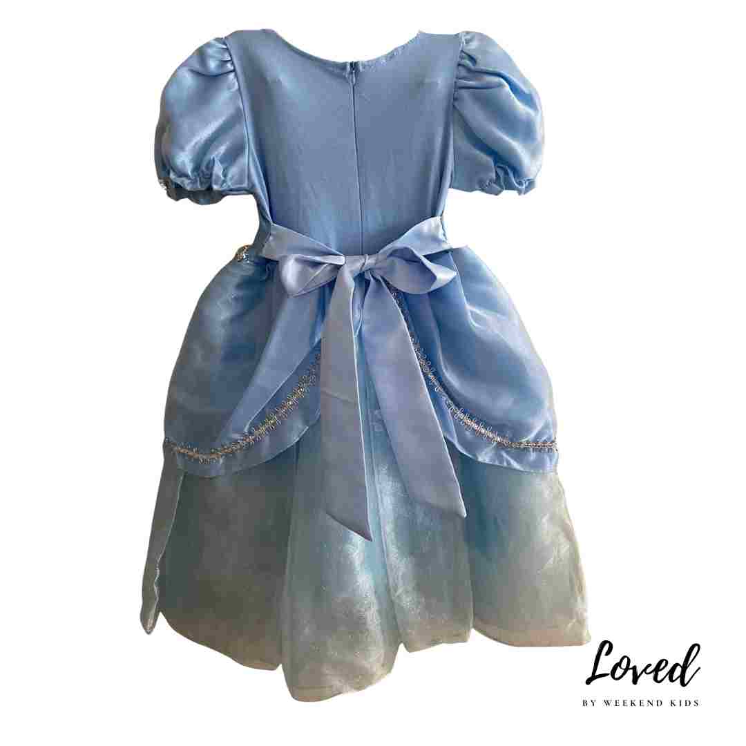 Cinderella Princess Costume (Loved)