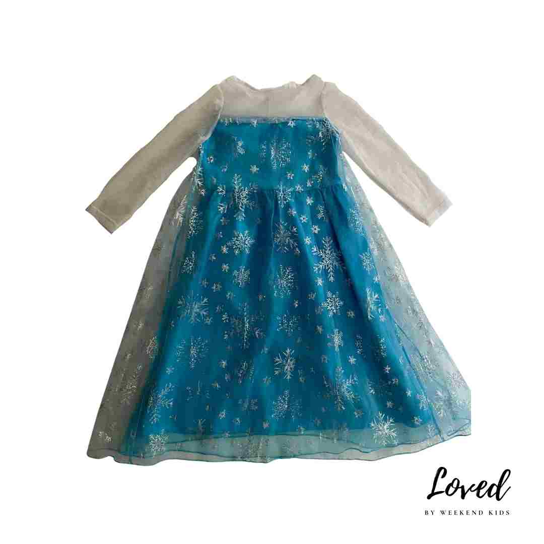 Elsa Frozen Costume (Loved)