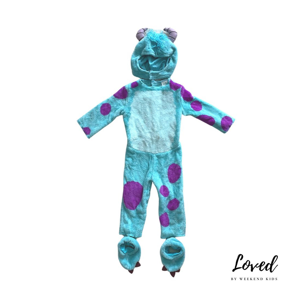 Sully Monsters Inc (Loved)