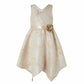 Harleth Champagne Gold Dress