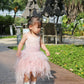 Felecity Pink Tutu Dress