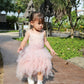 Felecity Pink Tutu Dress