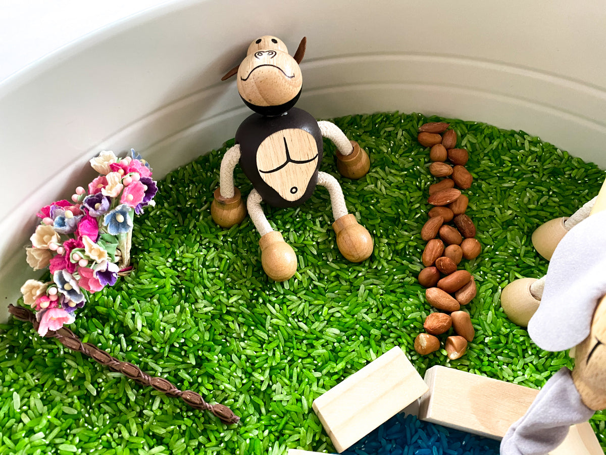Liam Sensory Play Kit