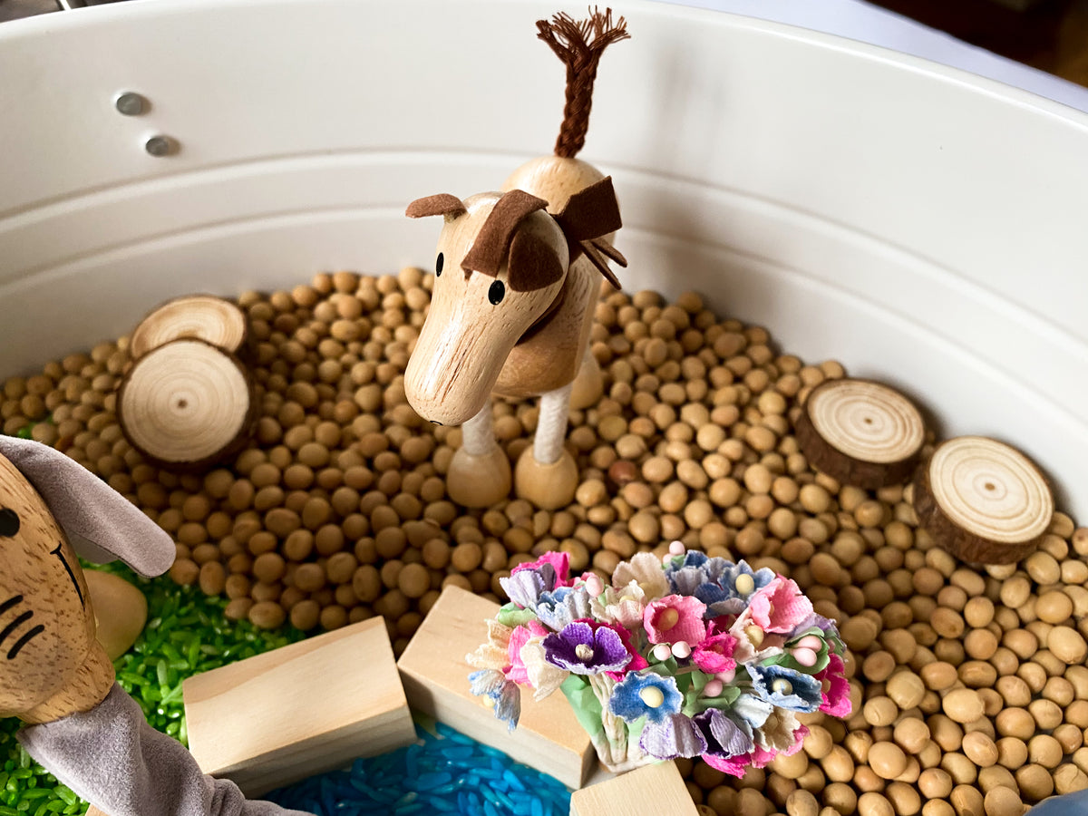 Liam Sensory Play Kit