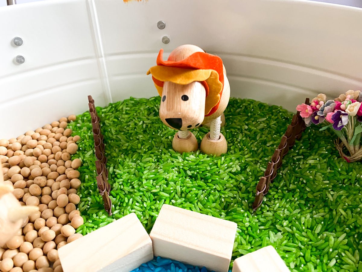 Liam Sensory Play Kit
