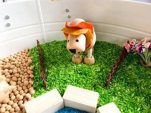 Liam Sensory Play Kit