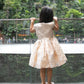 Cara Champagne Gold Dress