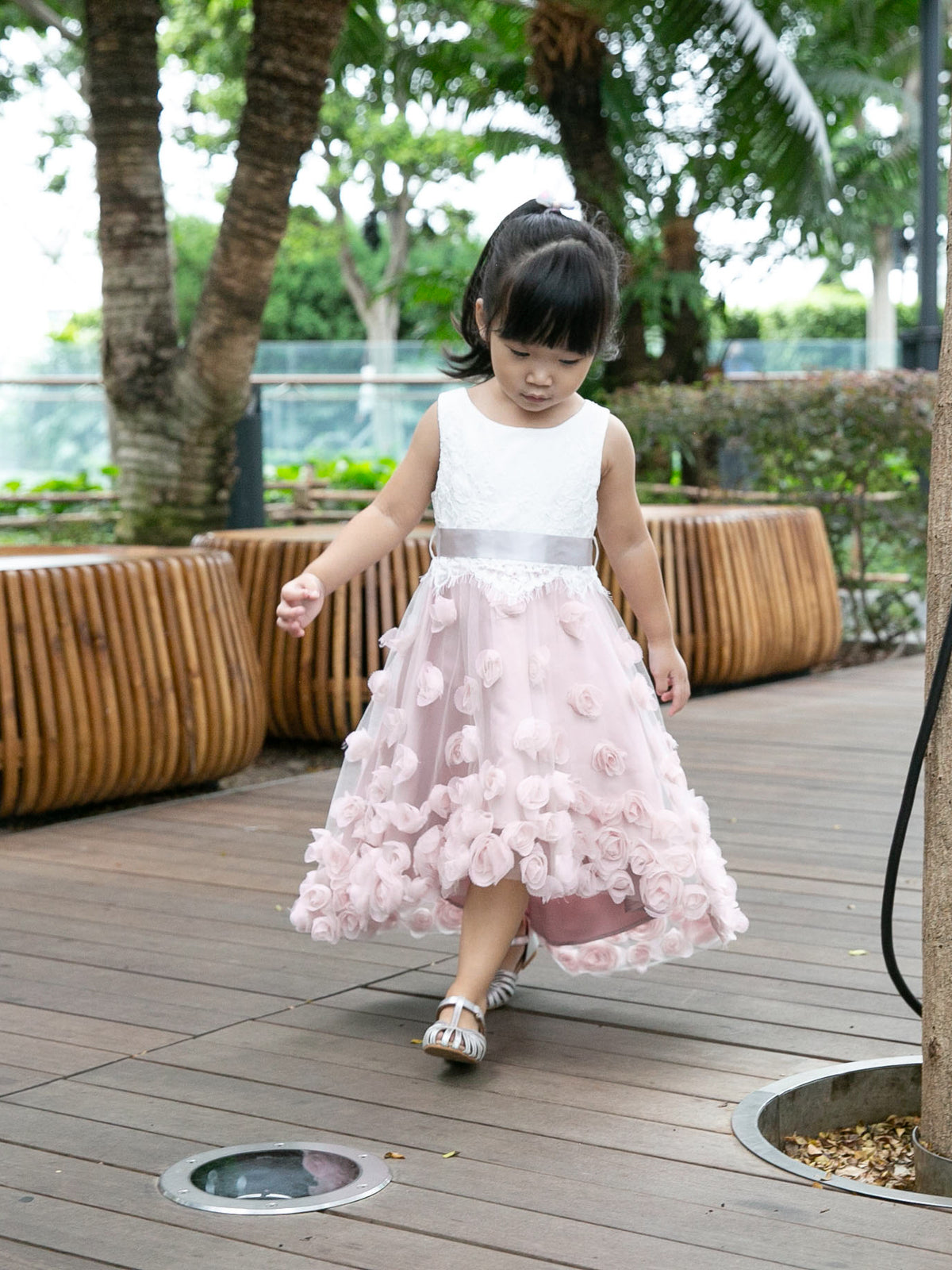 Ianthe Roses Dress