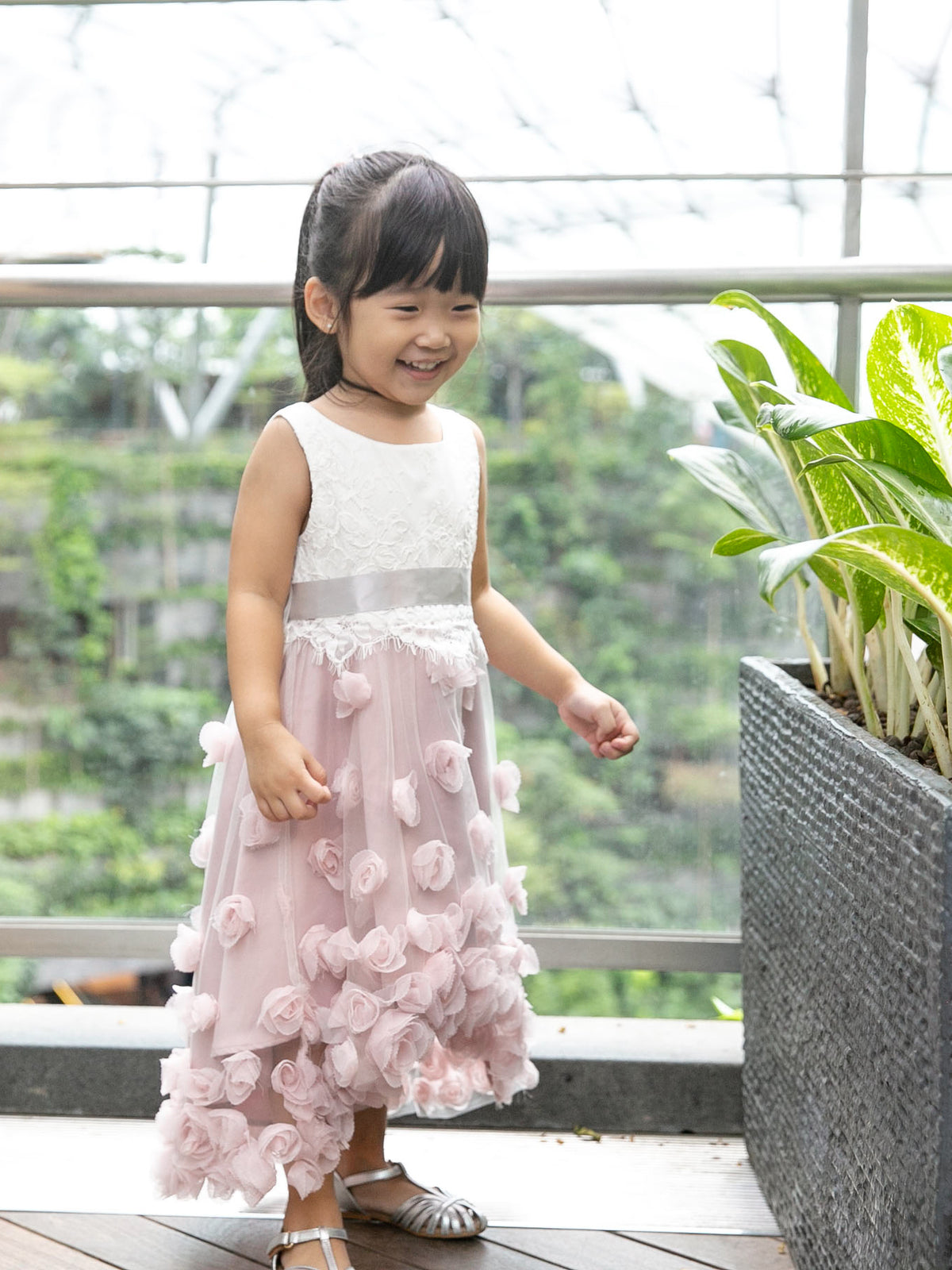 Ianthe Roses Dress