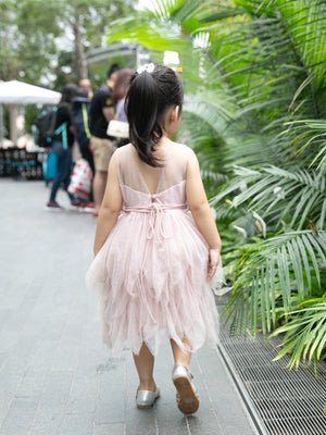 Amber Tulle Pink Dress