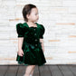 Demelza Vintage Velvet Green Dress (Loved)