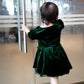 Demelza Vintage Velvet Green Dress (Loved)