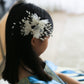 Faena Hair Piece Clip On