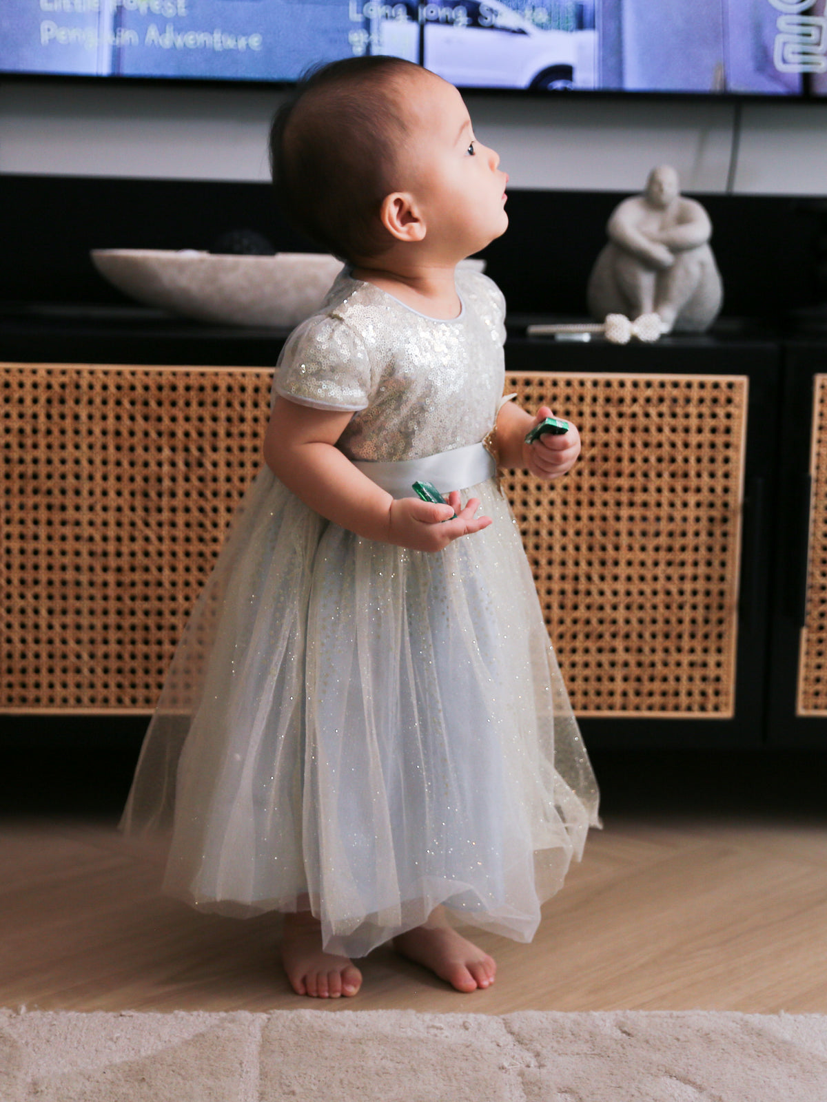 Marciana Sparkle Dress