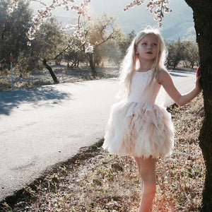 Daenarys Pink Tulle Dress