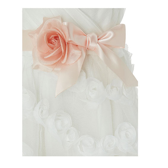 Beau Blossom Dress