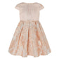 Cara Champagne Gold Dress