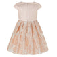 Cara Champagne Gold Dress