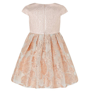 Cara Champagne Gold Dress