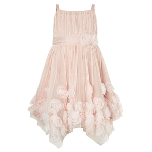 Cassidy Pink Floral Roses Dress