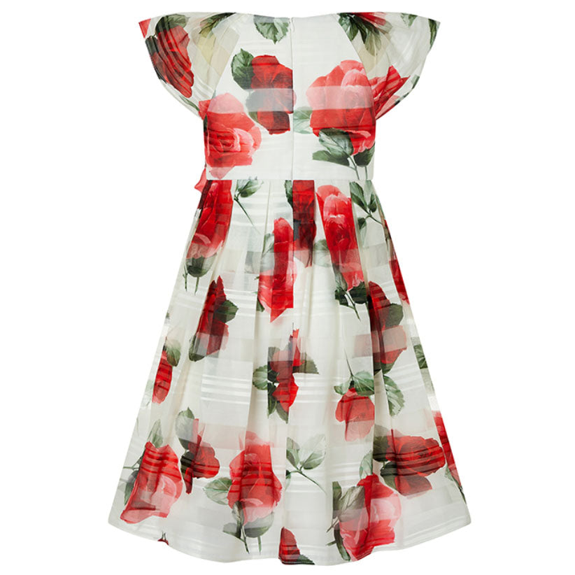 Valentine Dress