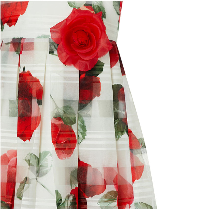 Valentine Dress