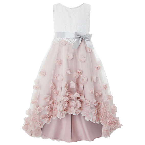 Ianthe Roses Dress