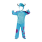 Sully Monsters Inc