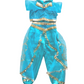 Navya Indian Costume (Loved)