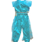 Navya Indian Costume (Loved)