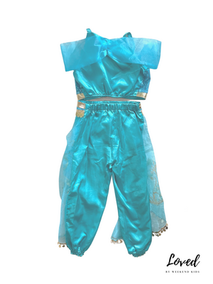 Navya Indian Costume (Loved)