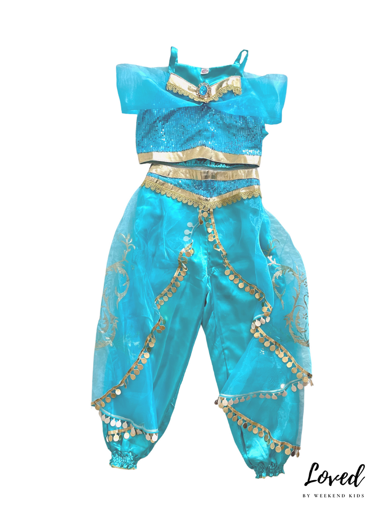 Navya Indian Costume (Loved)