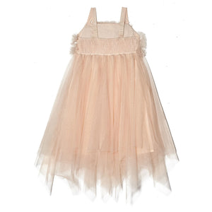 Chantilly Champagne Dress