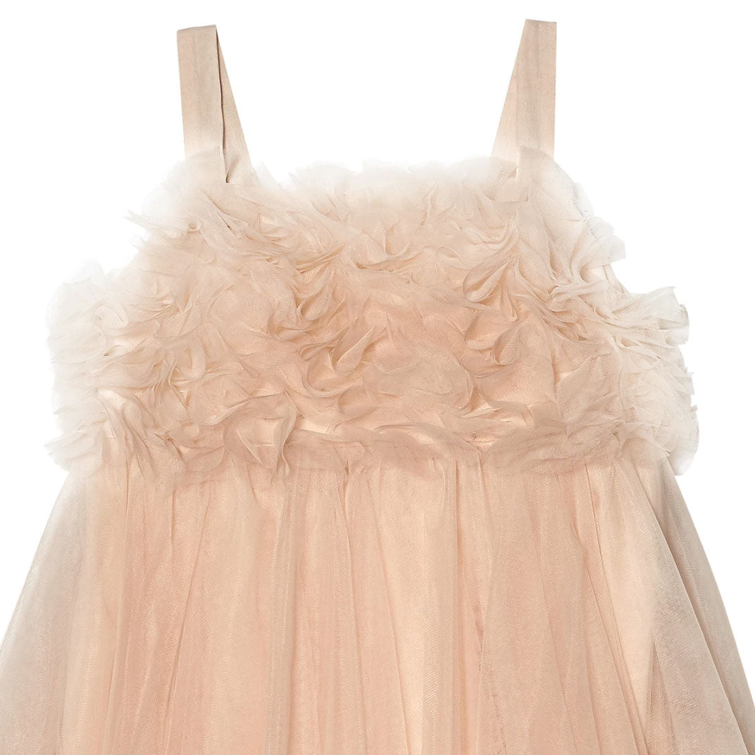 Chantilly Champagne Dress