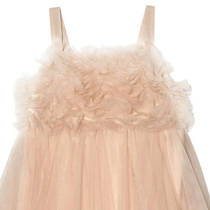 Chantilly Champagne Dress