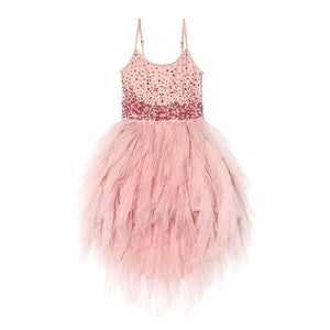 Felecity Pink Tutu Dress