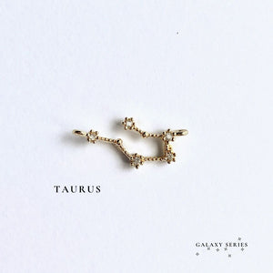 Horoscope Charms