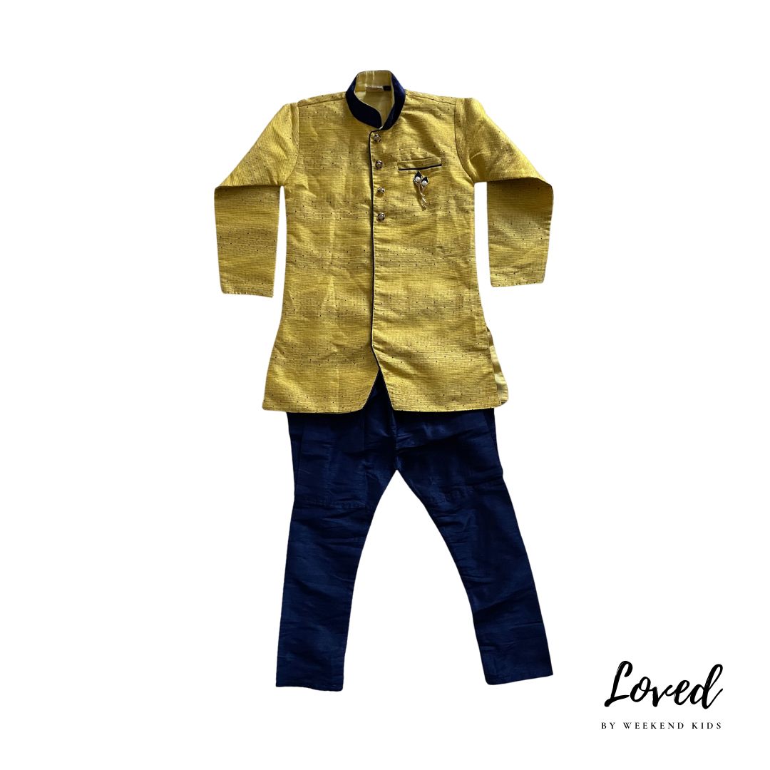 Vimal Indian Costume (Loved)