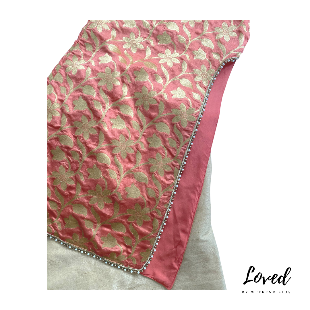 Devina Indian Costume (Loved)