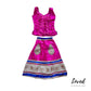 Yashika Deepavali Indian Costume (Loved)