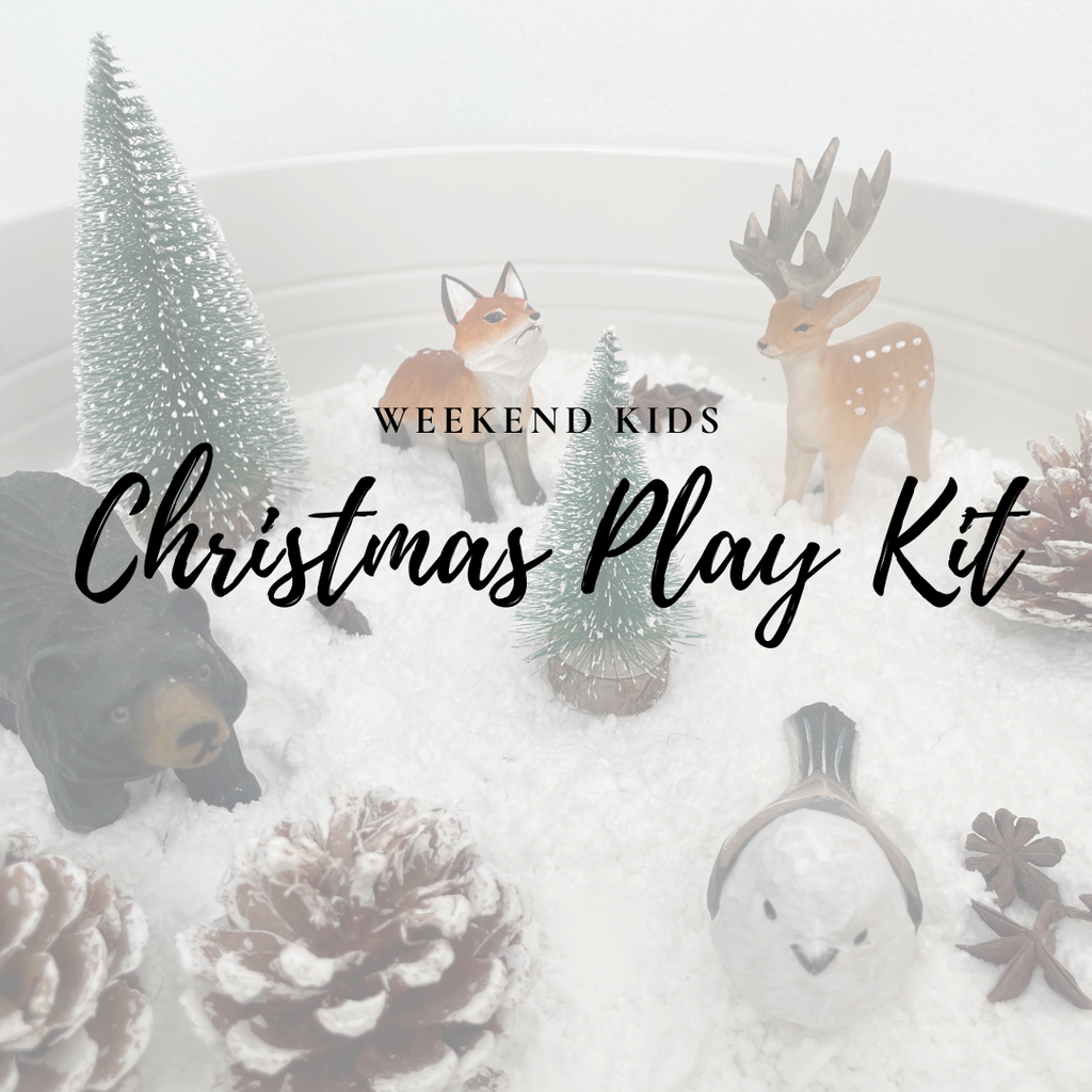 Christmas Winter Play Kit