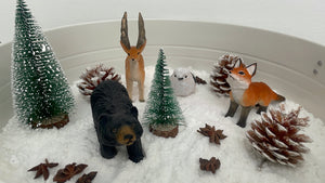 Christmas Winter Play Kit